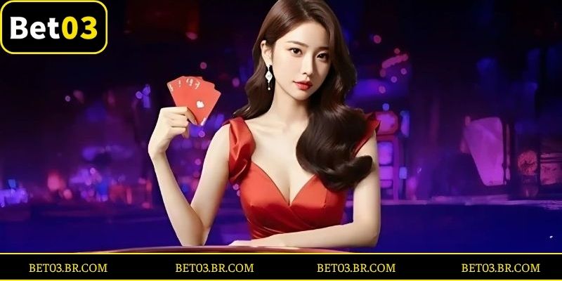 Atualizações E Novidades No Portfólio